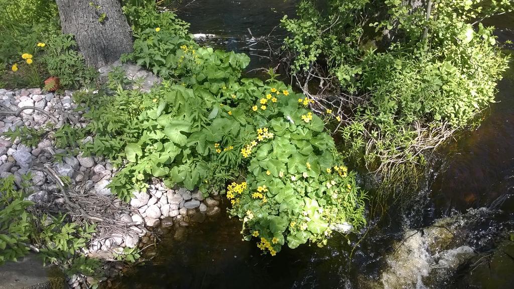 Kirjakkalan Ruukkikylae Teijo ภายนอก รูปภาพ