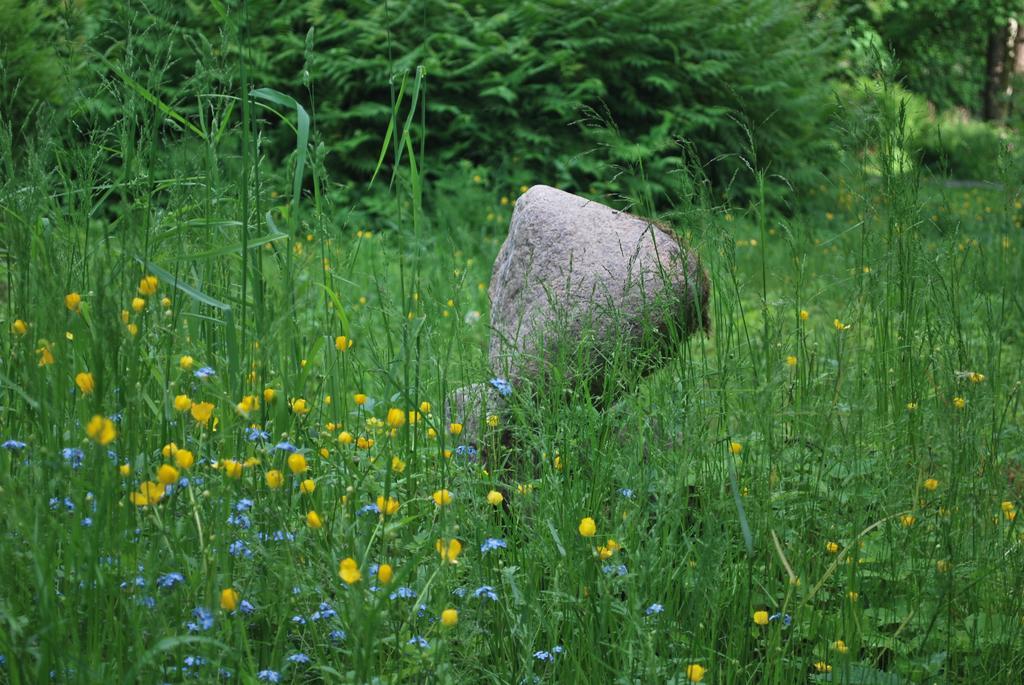 Kirjakkalan Ruukkikylae Teijo ภายนอก รูปภาพ