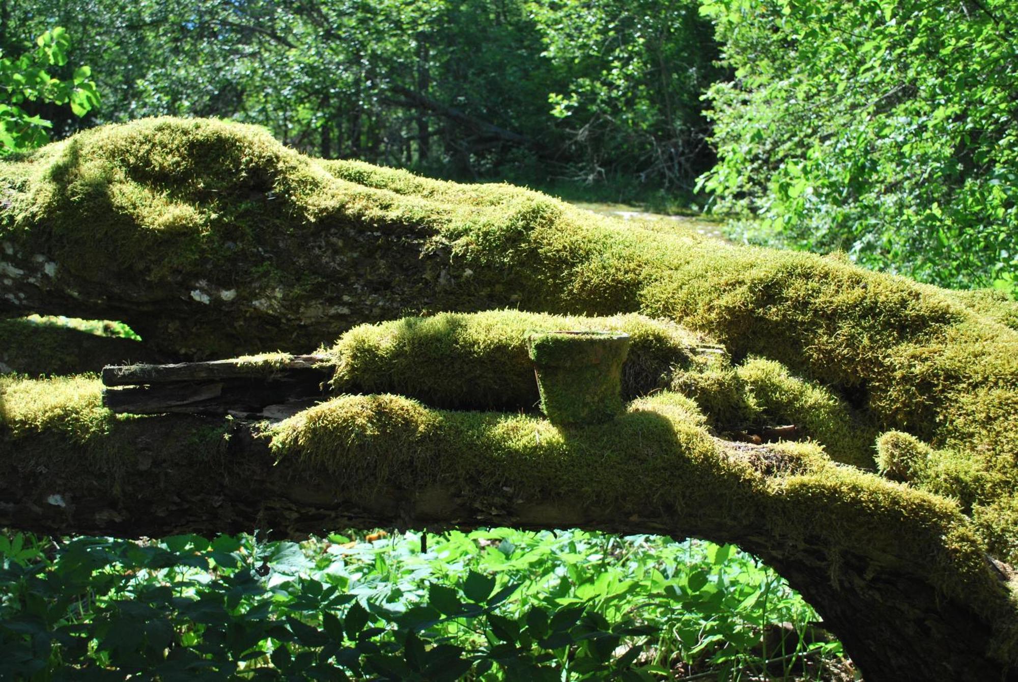 Kirjakkalan Ruukkikylae Teijo ห้อง รูปภาพ