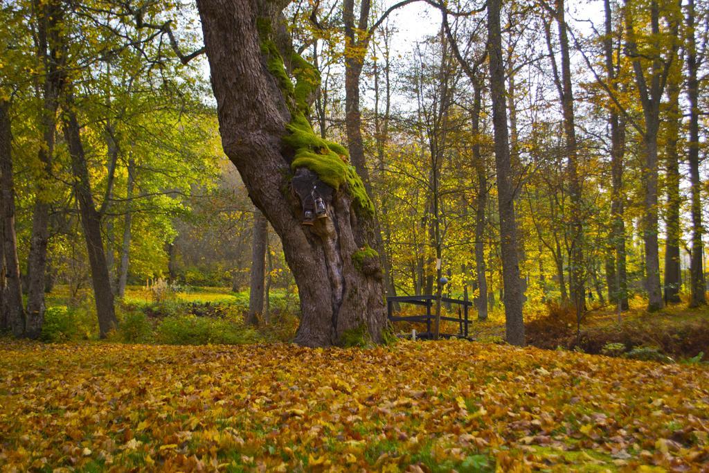 Kirjakkalan Ruukkikylae Teijo ภายนอก รูปภาพ